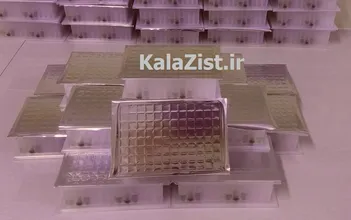 Magnetic Based Whole Blood DNA extraction Kit, Plate format Magnetic Based Whole Blood DNA extraction Kit, Plate format
